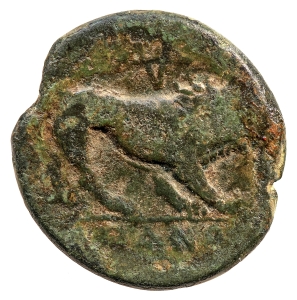reverse
