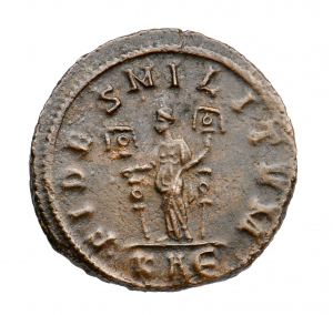 Carinus