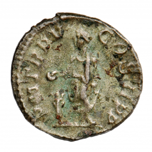 Severus Alexander