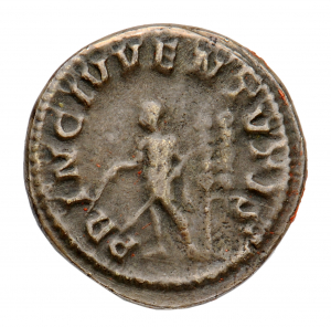 Maximus