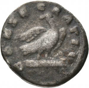 Divus Marcus Aurelius
