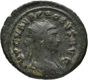 Probus