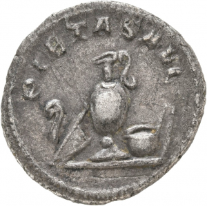 Maximus