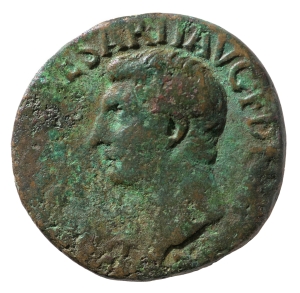 Drusus Iunior